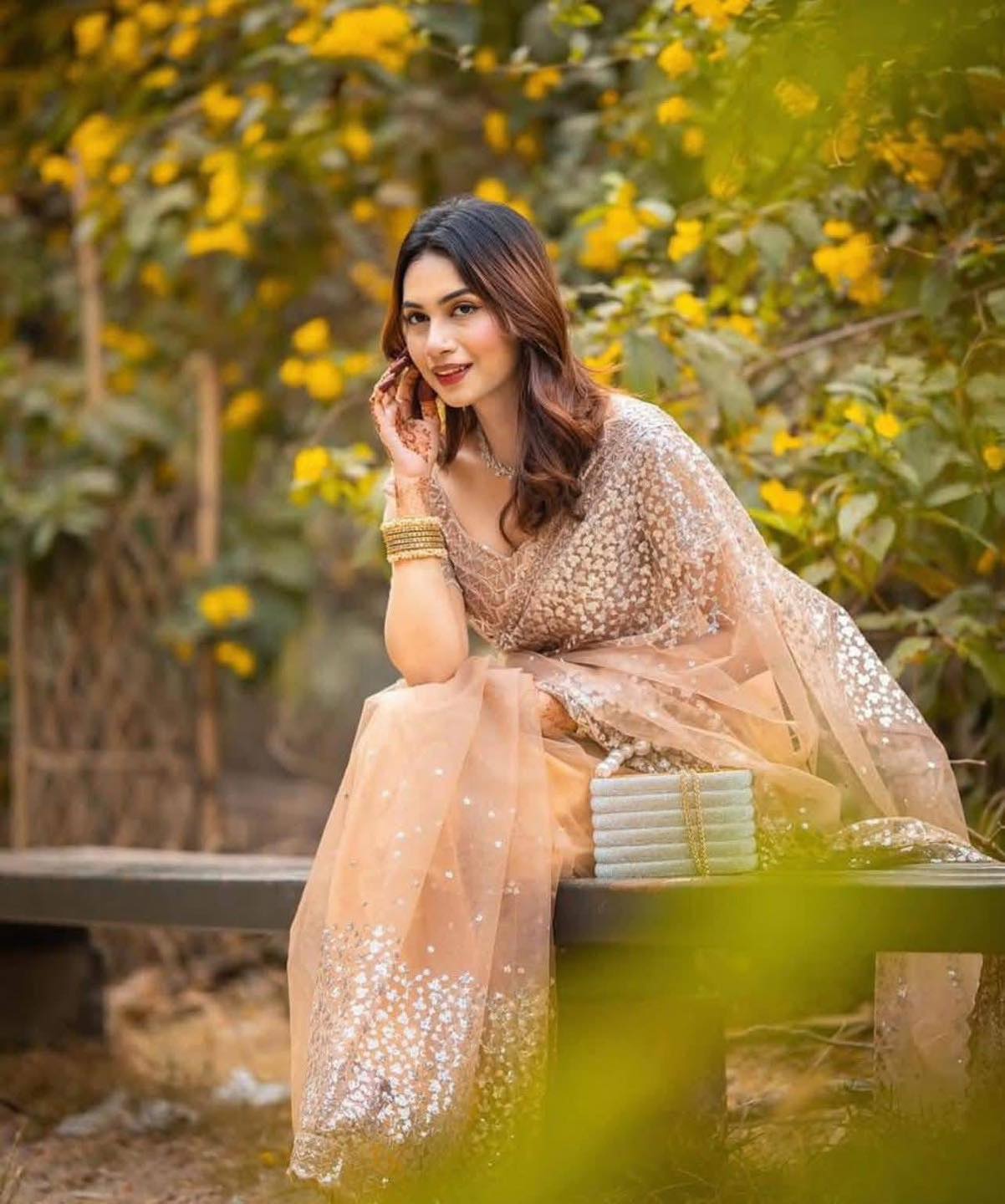 Golden beige net sharee